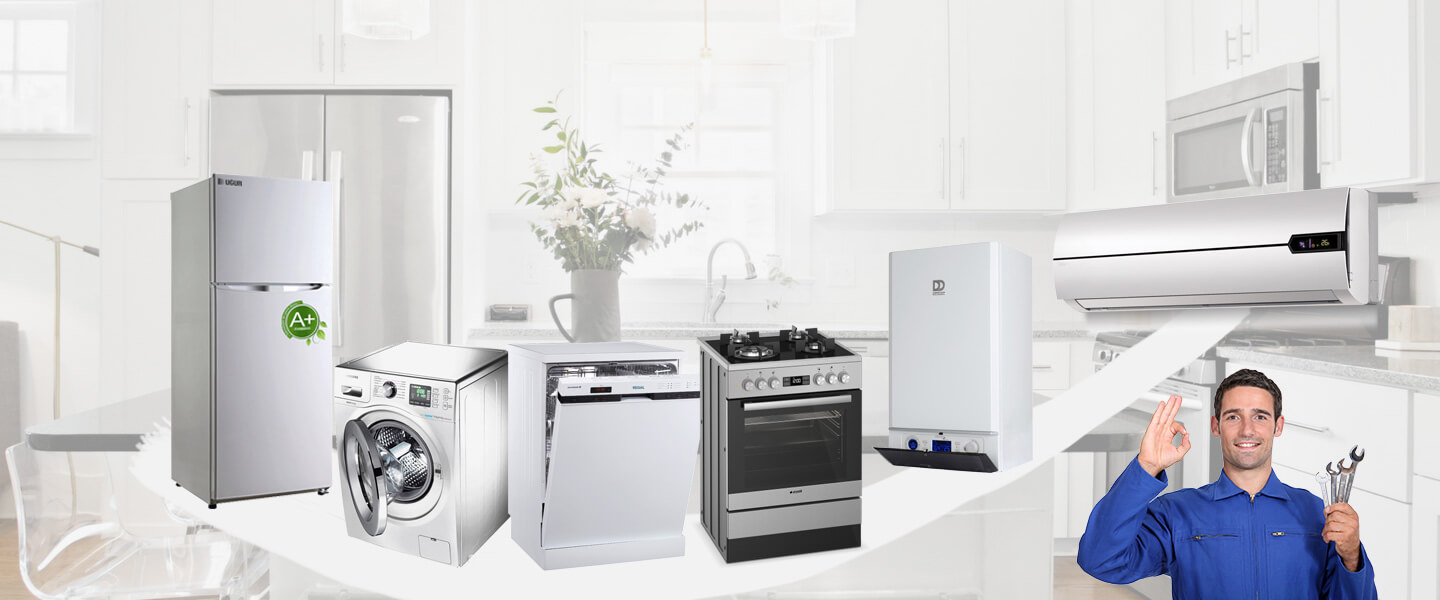 Sasalı Smeg Servisi